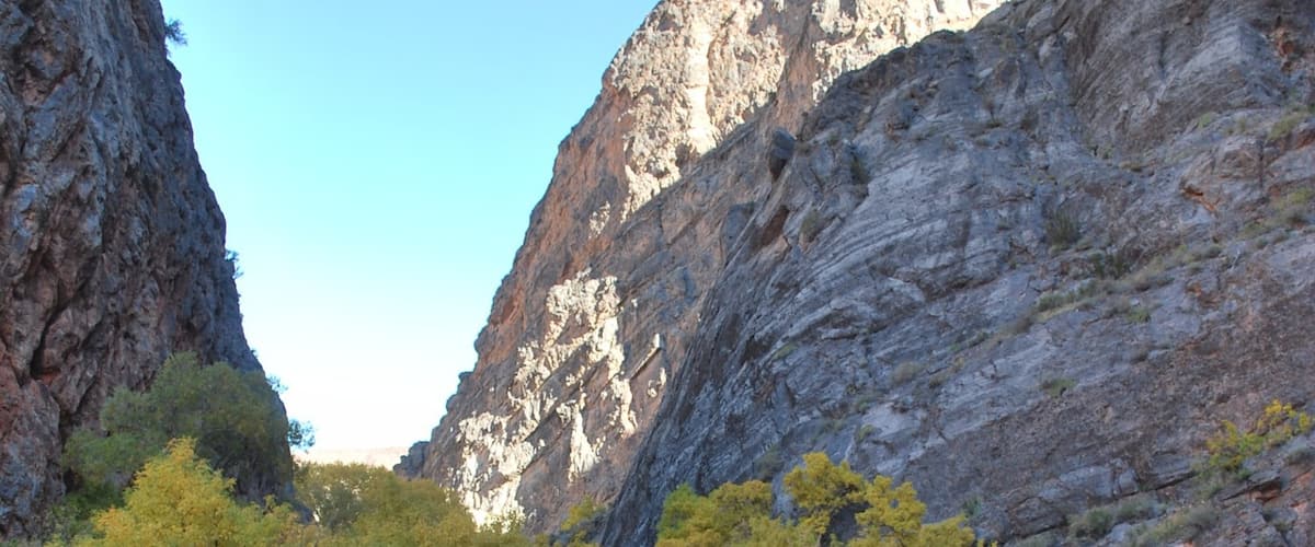 Eagle Canyon outside of Panaca, Nevada