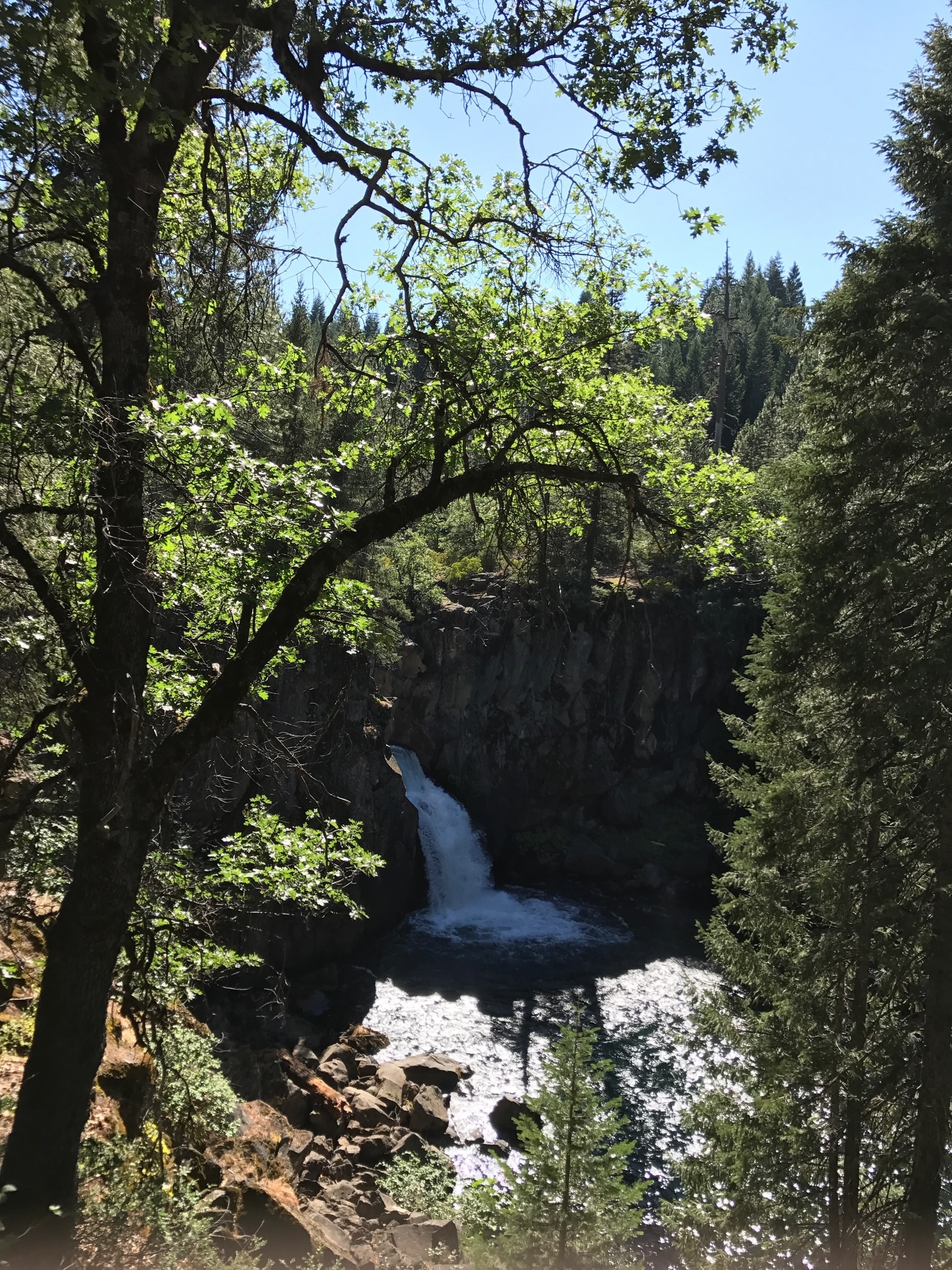 Visit McCloud 2021 Travel Guide for McCloud, California Expedia