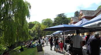 Visiting this farmers market in Riccarton Bush, just outside of the center of Christchurch is a wonderful way to sample the areas foods and mix with locals.