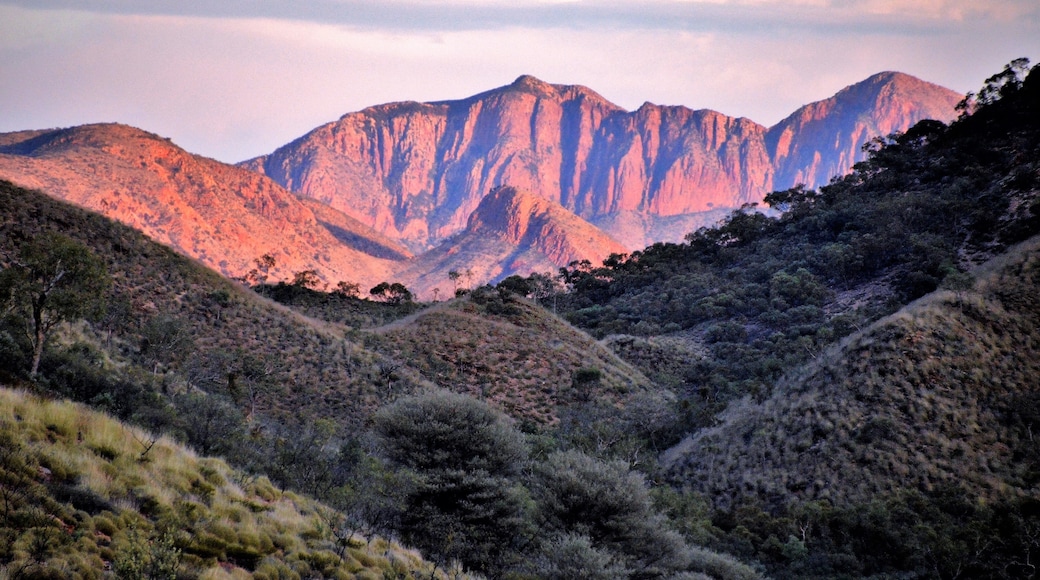 Mount Zeil, Northern Territory, Australia