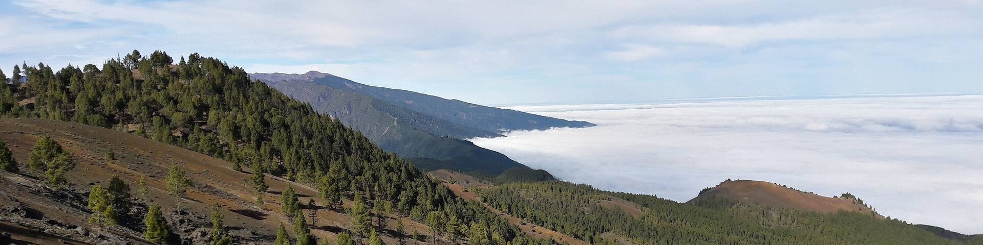 Auf der Ruta de los Volcanes - über den Wolken.
Walking above the clouds - Ruta de los Volcanes.
