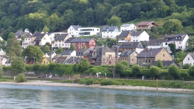 Typical village along the southern Rhine.

We took the KD boat downstream from Koblenz; highly recommended.