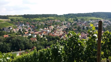 A beautiful, old Bavarian village surrounded by vineyards. A place where older generation of men still tip their hats and wish you Guten Tag or Grüß Gott