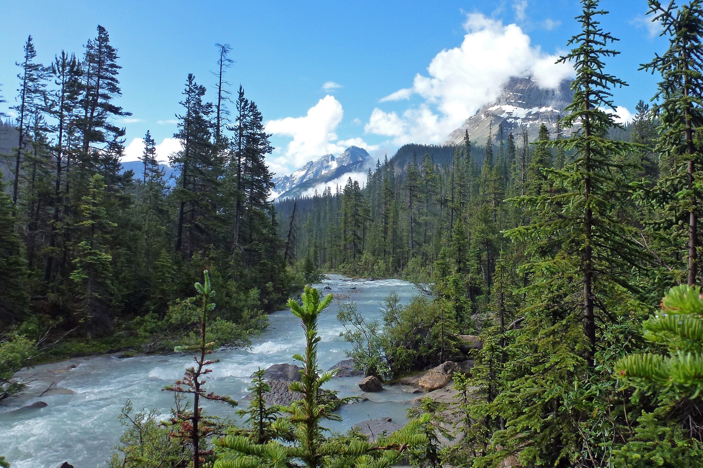 The Yoho River at Takakkaw Falls looking toward Cathedral Mountain with the peak covered in white cloud to upper right of the photo. #GreatOutdoors