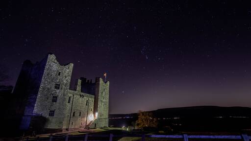 Billede taget af Ron Jnr