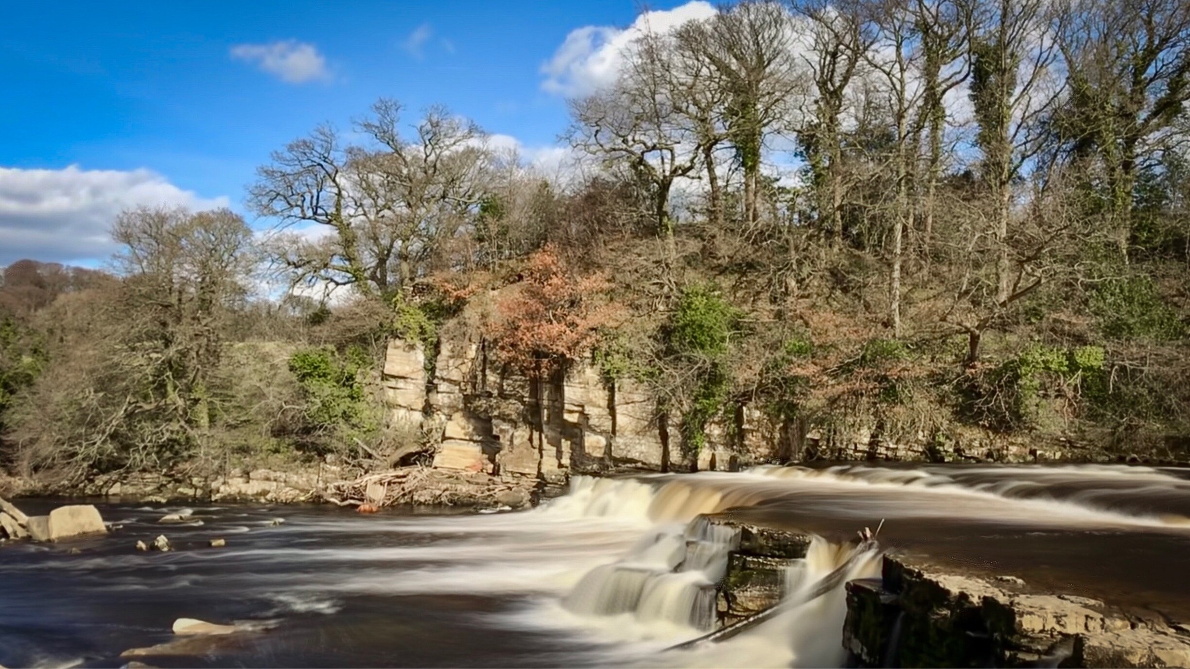 Ảnh của Bob Ward