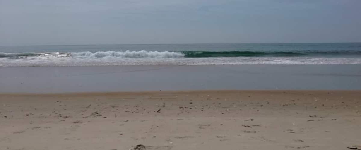 Gorgeous beach with lots of washed up sharks teeth to find!