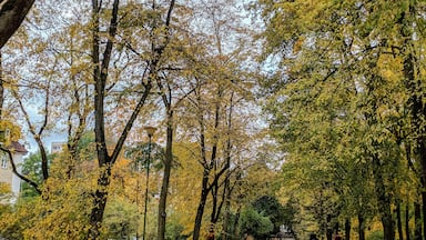 Fall comes early in Bialystok (NE Poland). One of the best places to experience all the nature's beauty is by taking a walk in a park surrounding the Branicki Palace. And if you can share that walk with a friend or family, the experience can be that much better. #LifeAtExpediaGroup #bialystok #poland 