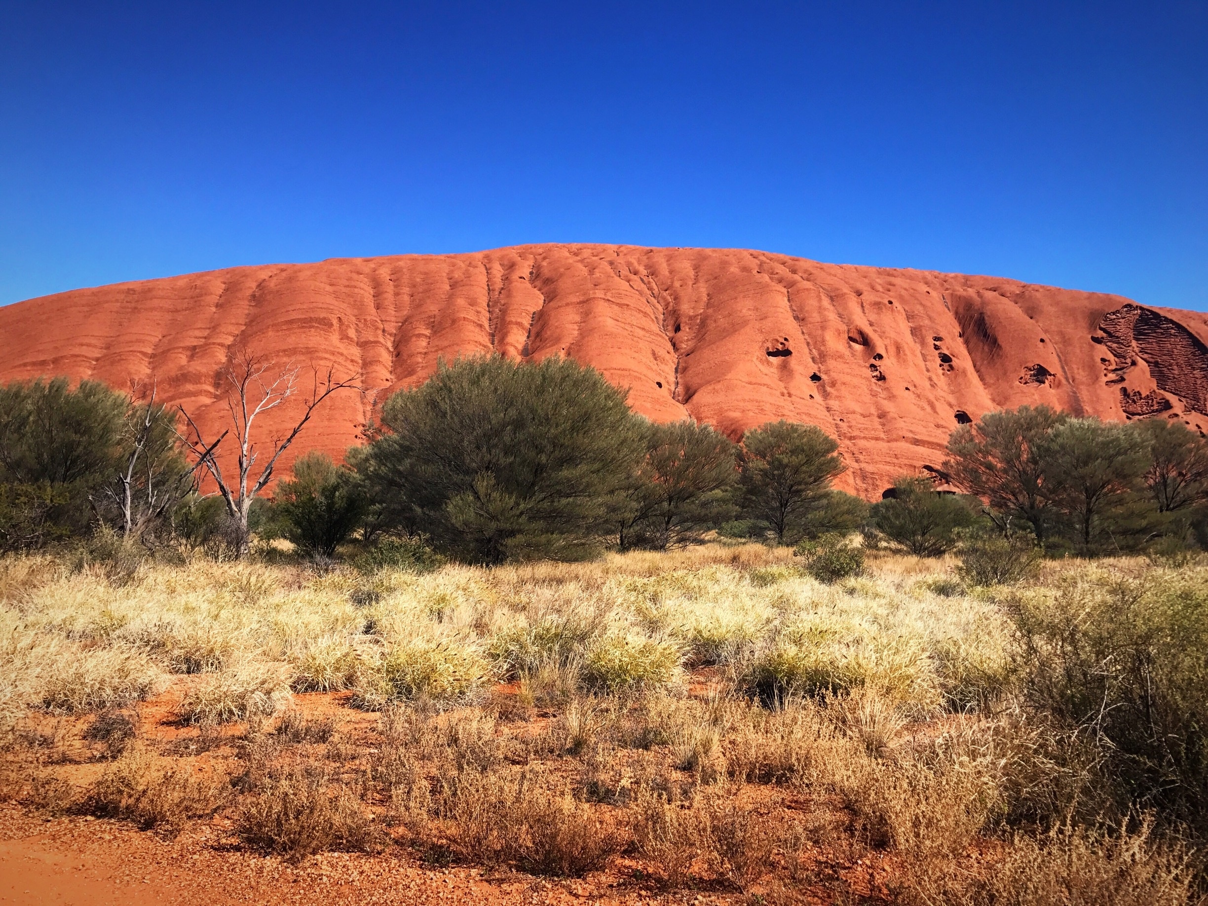 Uluru (Ayers Rock), Petermann holiday rentals & more Vrbo
