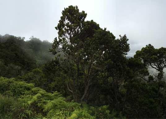 Hanalei, Havaí, Bandaríkin