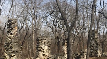 More of the chimneys we saw on the hike. 
#StunningStructures
