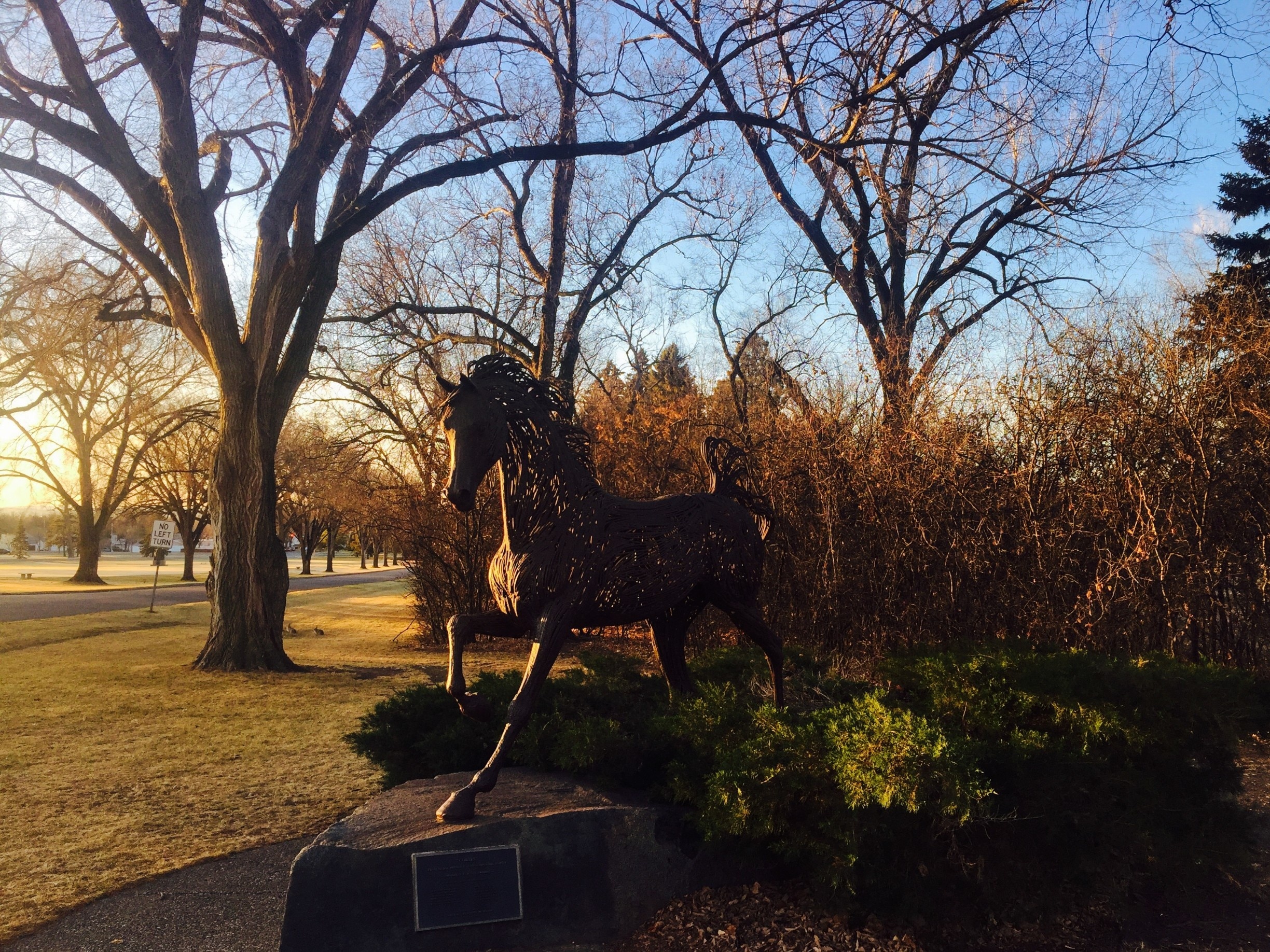 There are a few hidden gems on the ND state capitol grounds. I loved this beautiful iron horse, especially with the morning sun on a crisp fall day. #lifeatexpedia #merch