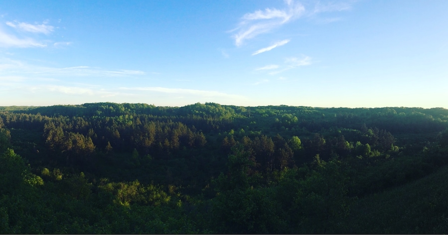 Lookout over the Spread Eagle Barrens