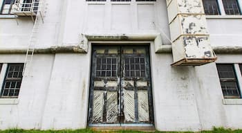 The Georgetown Steam Plant was built in 1906 to provide power for Seattle's streetcars, the city of Georgetown, and the Seattle-Tacoma Railway. Although it's turbines were state-of-the art for their time, technology was advancing so quickly that the plant became outdated within a decade. It was soon relegated to secondary status and was used occasionally through the 1970s during droughts and to meet peak power demand.

Today, the nearly-complete plant is operated as a free museum and is open to the public the second Saturday of every month from 10am-2pm.