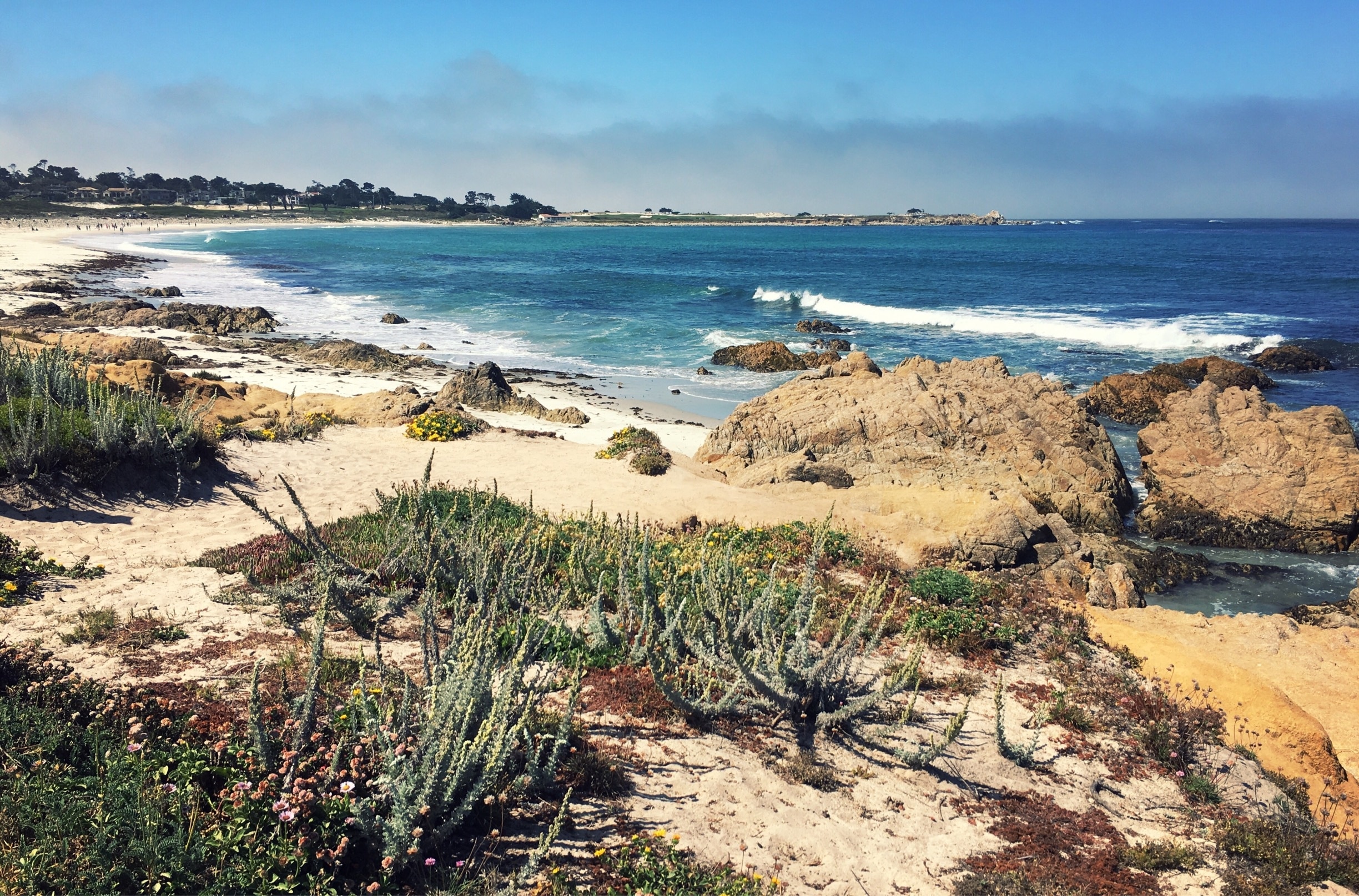 Spanish Bay can be accessed by vehicle from 17 Mile Drive ($10.50 per vehicle) or on foot from Asilomar State Beach (free) by walking south along the boardwalk.
