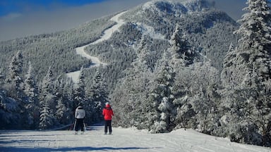 Some of the best skiing on the East coast is at Jay Peak.
#BestOf5
#winterwonder