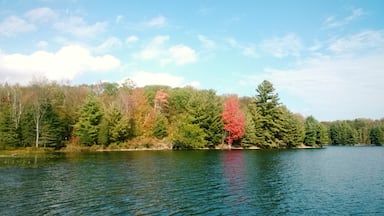 Now that the summer hordes have left, you have this idyllic hidden gem of a lake to yourself to enjoy a #fall #picnic 

#GreatOutdoors #Ontario #Canada #travel #explore #autumn #fall #colourful #nature 