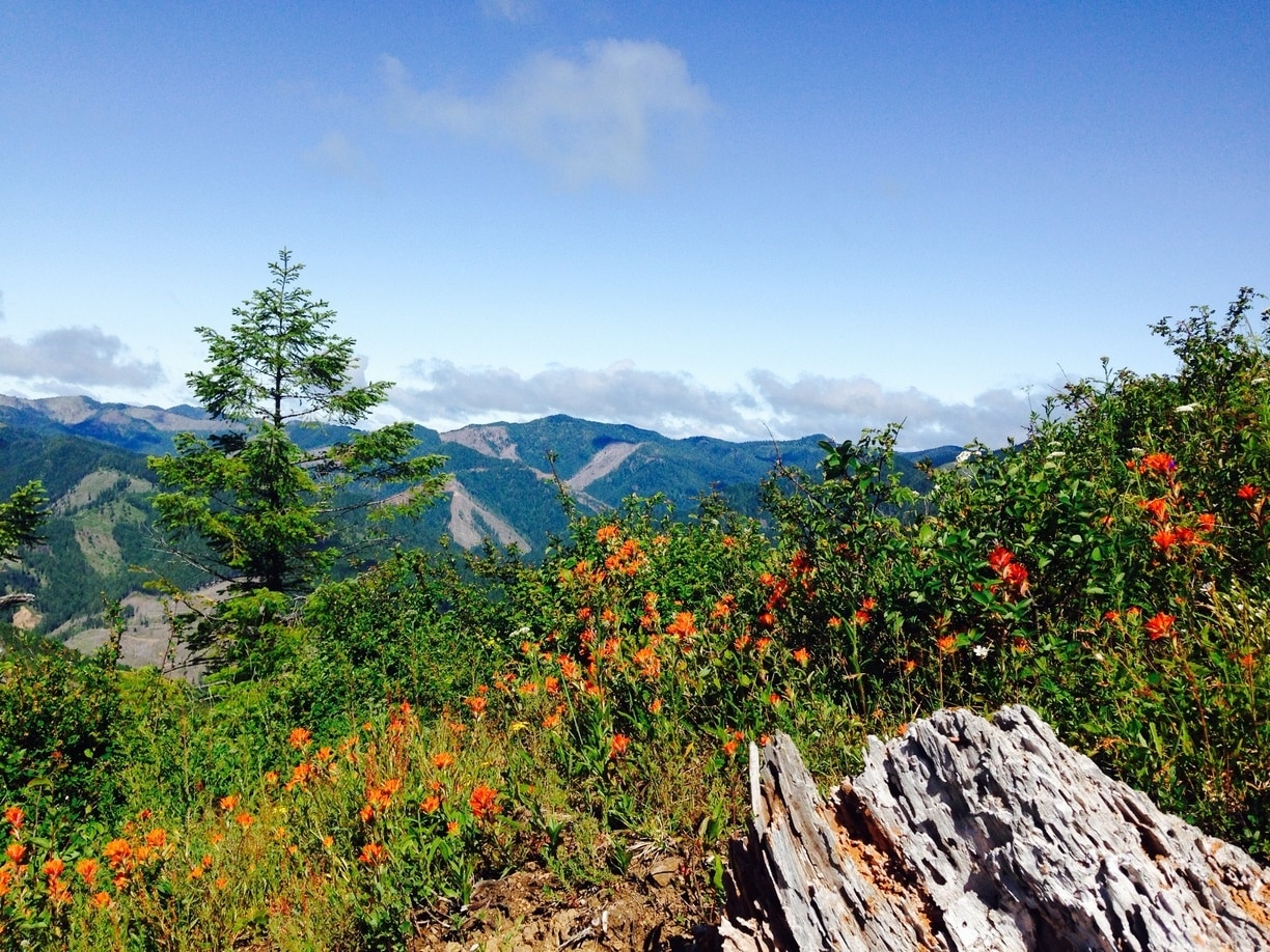 Nehalem, Oregon, États-Unis d’Amérique