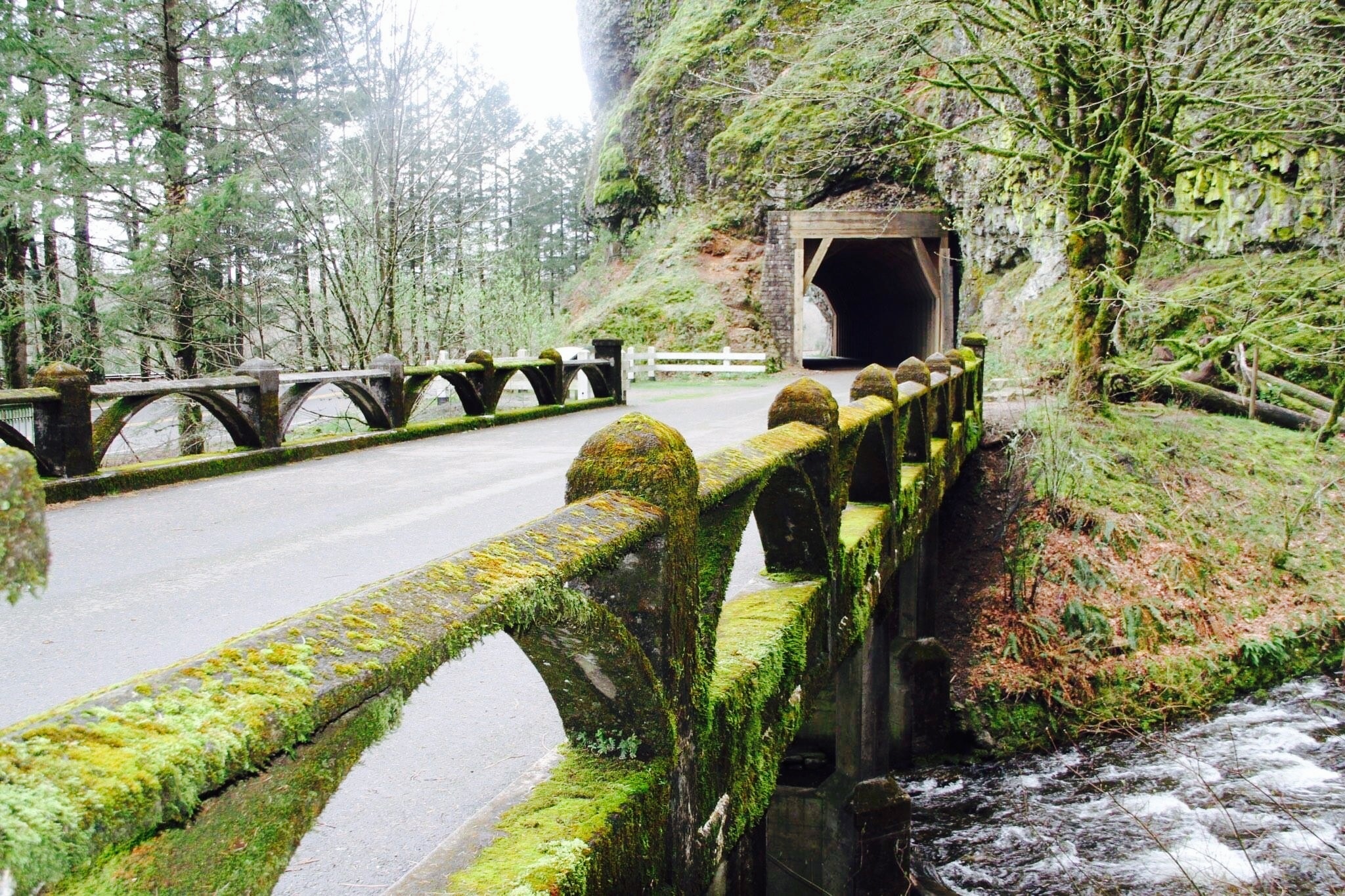 Cascade Locks Travel Guide Best of Cascade Locks, Oregon Travel 2024