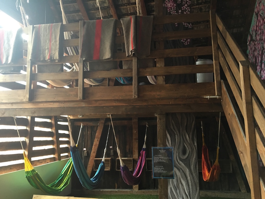 Hammock Room! 🤙🏼👌🏼