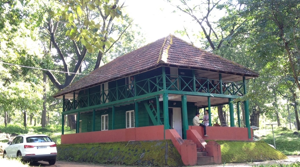 Tholpetty, Kerala, India