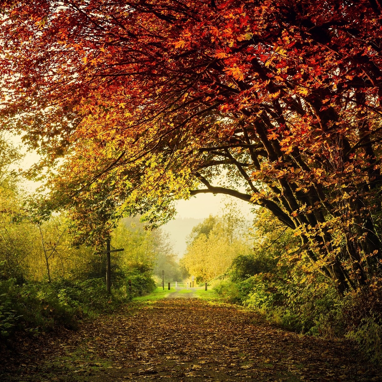 Visit Carnation 2021 Travel Guide for Carnation, Washington Expedia