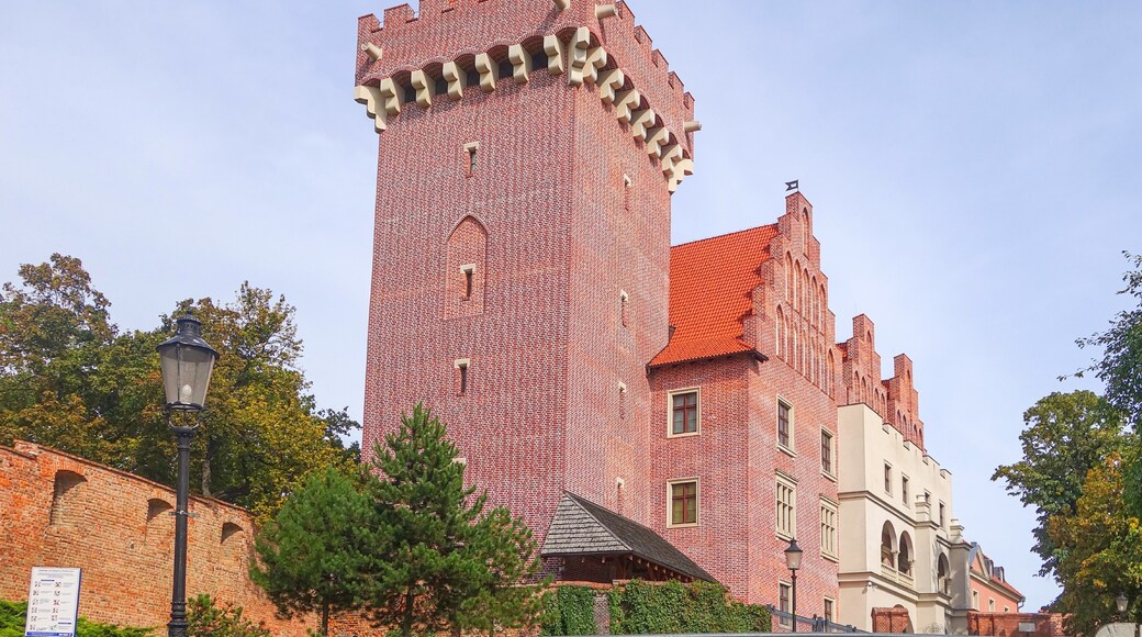 Royal Castle, Poznań, Greater Poland Voivodeship, Poland