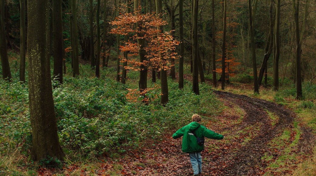 Photo de Sean Womack