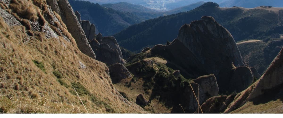 Photo taken on our way to Ciucas Peak in Ciucas Mountains Romania. It's not a very difficult trail and the peak has an altitude of 1954m.