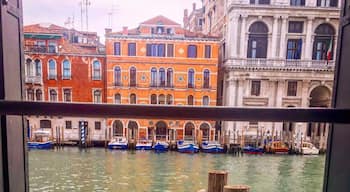 Welcome to the Grand Canal, Venezia