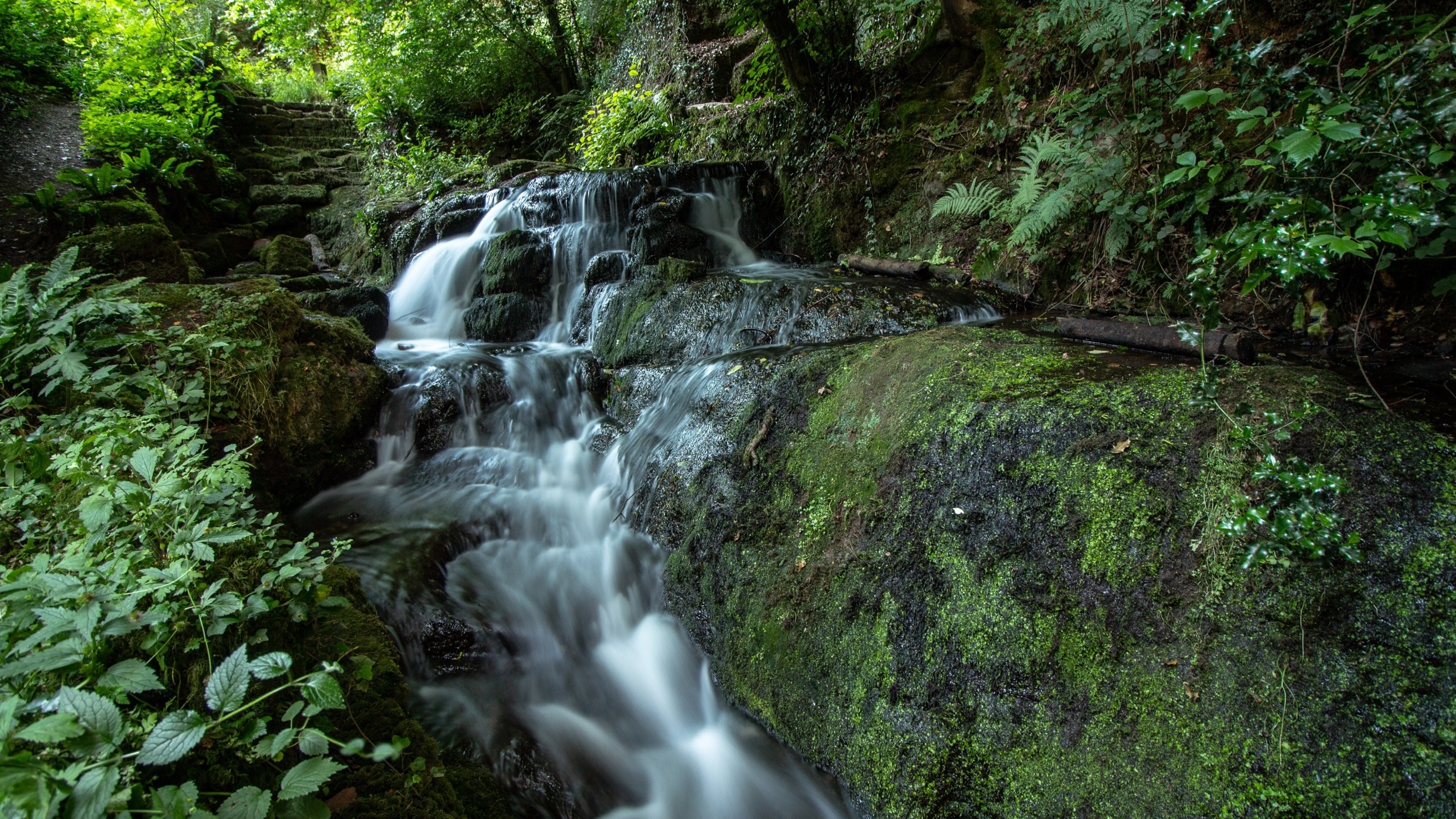 Photo by Zander Round