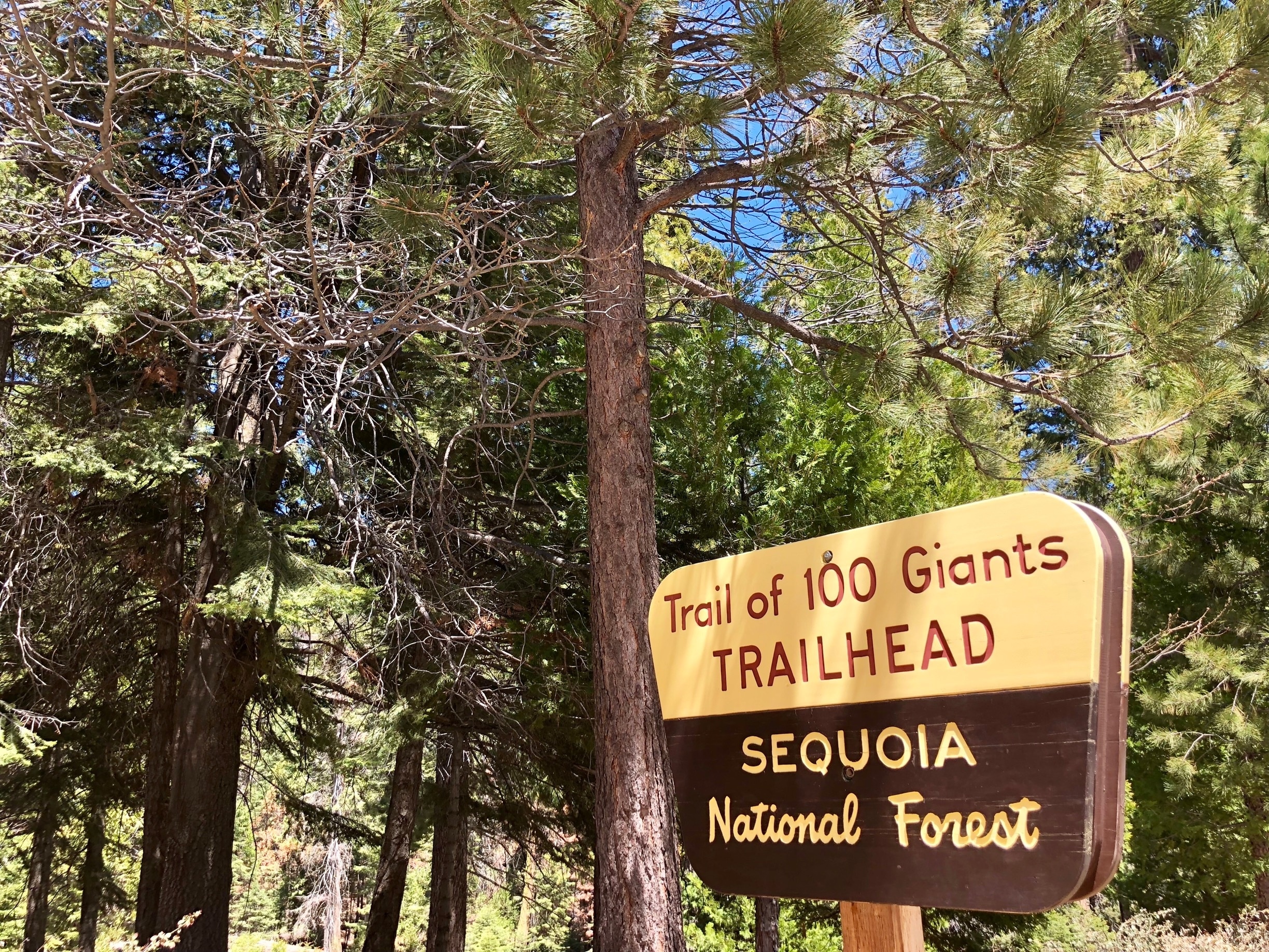 Located within the Giant Sequoia National Monument this trail
Is well worth the time
It takes to drive to it. 