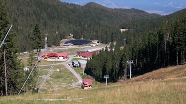 Summer in the mountains around Bansko, Bulgaria  