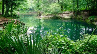 It's called "Blue Spring," but there was a decidedly green tint to the water the day I stopped by for a visit.