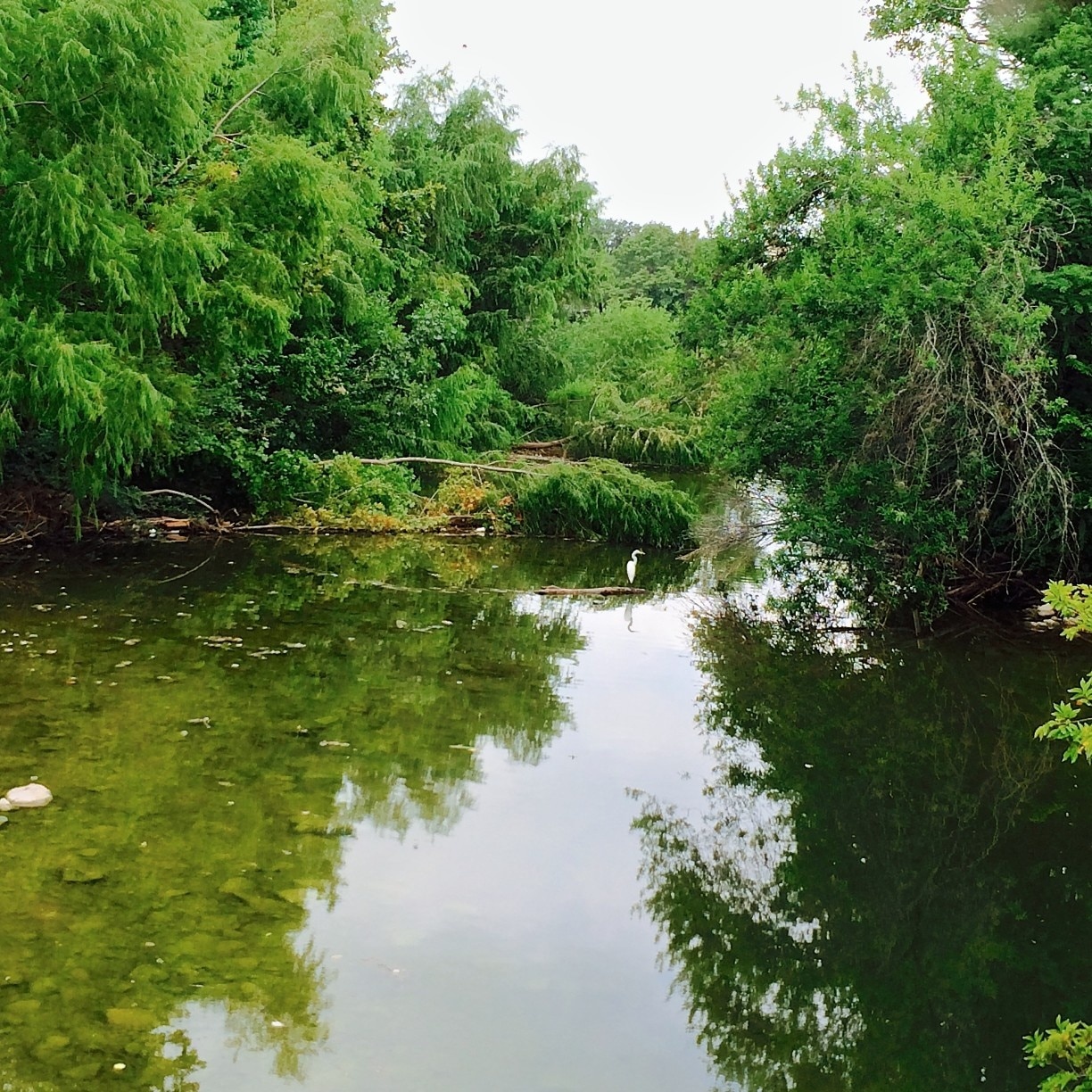 Rainey Street Historic District Travel Guide Best Of Rainey Street Historic District Austin