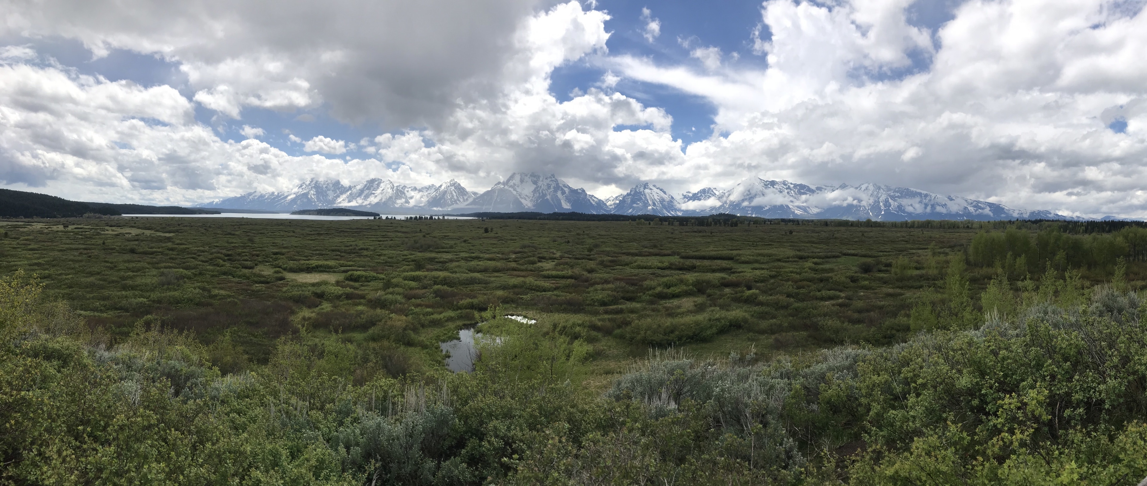 We really enjoyed the drive from the Grand Tetons to Yellowstone.  This is the view from Jackson Lake Lodge where we stopped for lunch and watched for wildlife. Pro tip: bring binoculars when visiting the parks! #GrandTeton #NationalPark