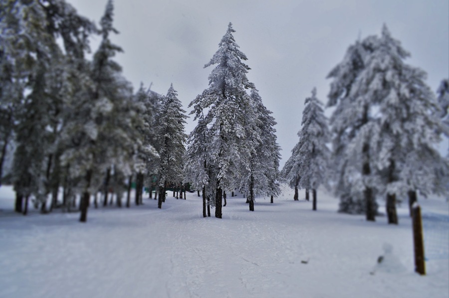 Cold day