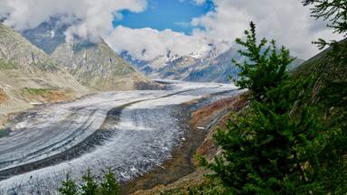 Aletsch Glacier is the largest glacier in the Alps. It has a length of about 23km (14mi).