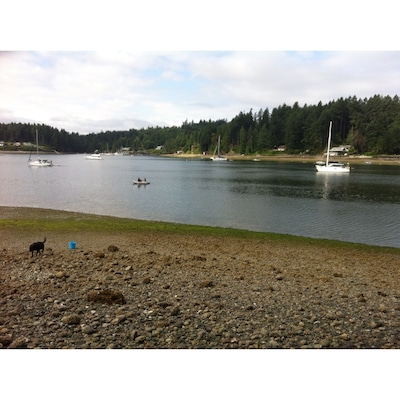 Shore leave in Filucy Bay.
