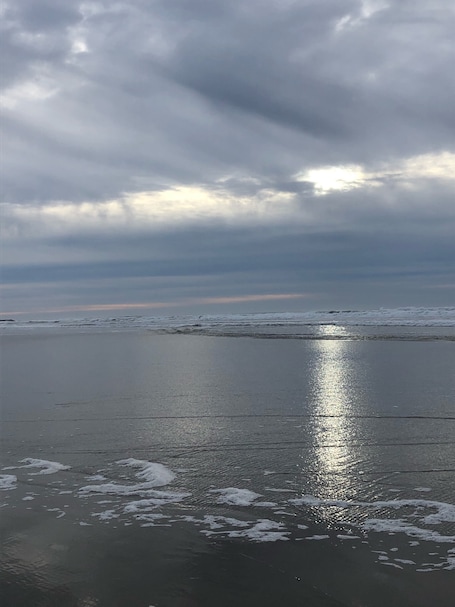 Heceta Beach