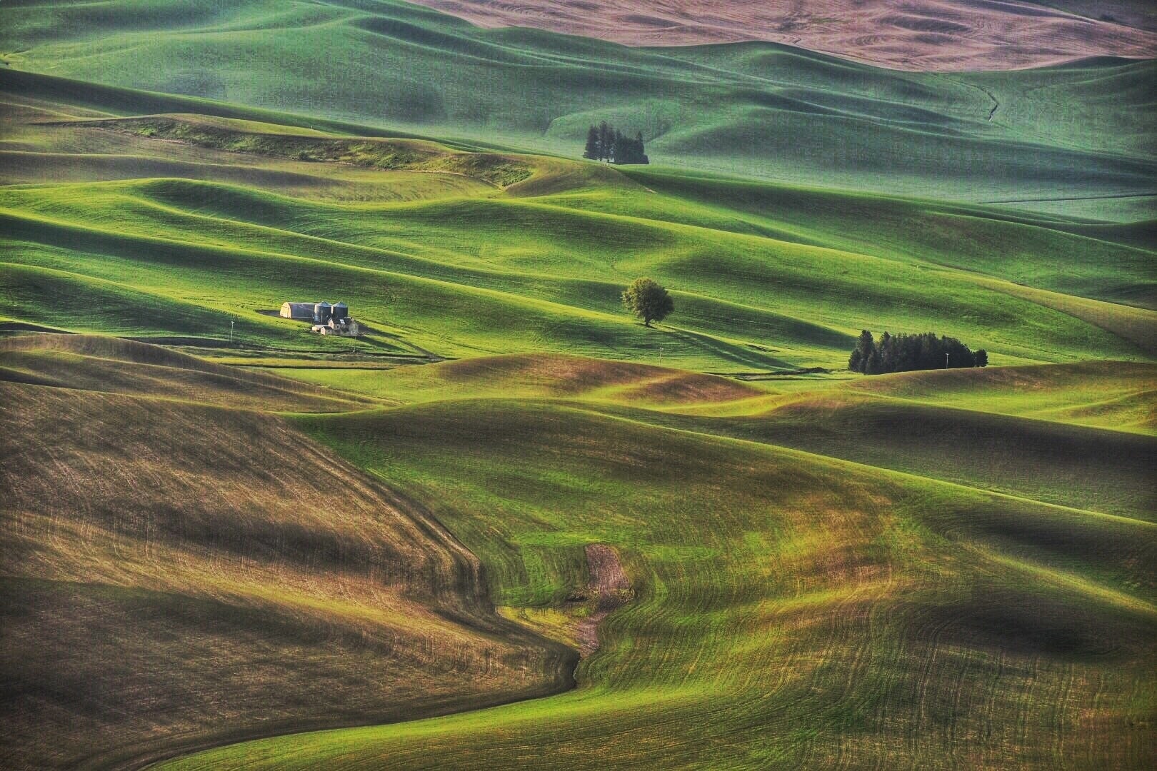 View on top of Steptoe Butte State Park