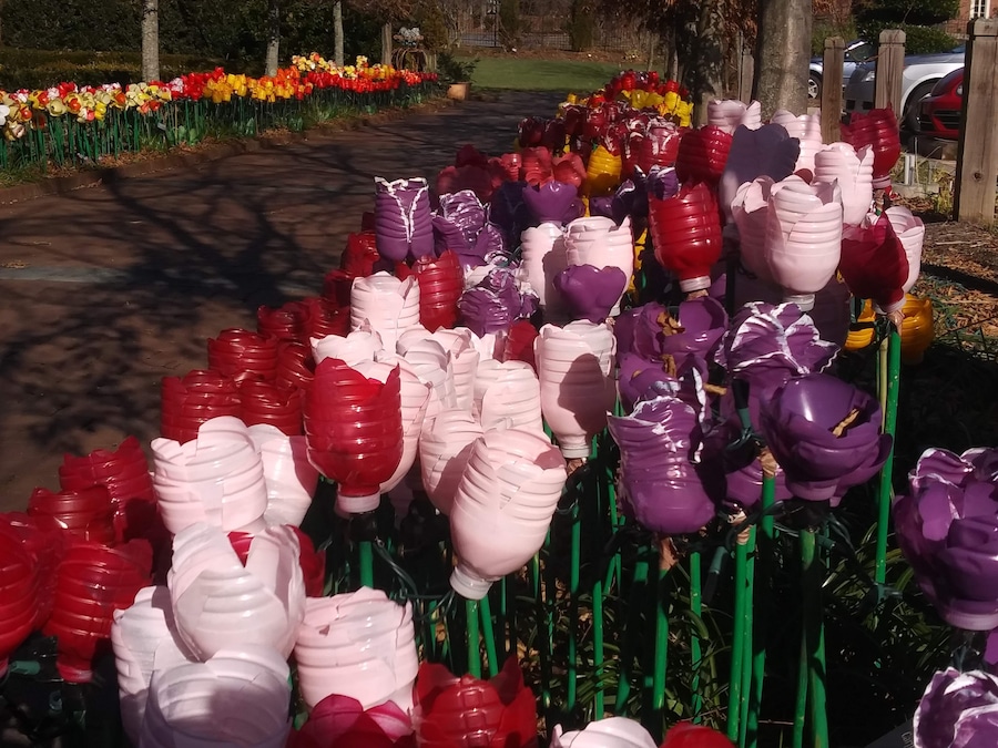 Volunteers have created a massive lighted tulip garden from used water botels. Lit at night.