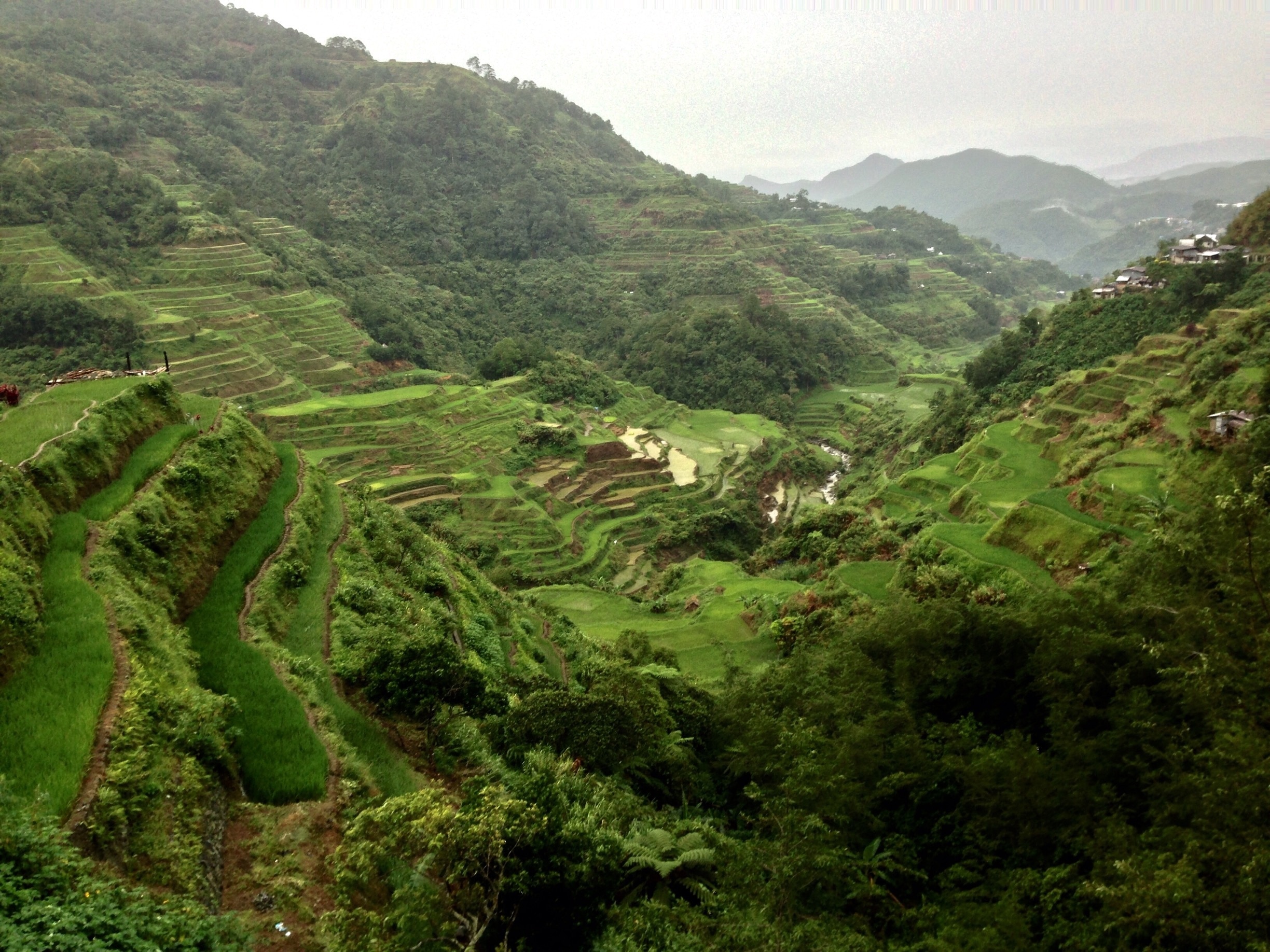 Visit Ifugao Province 2024 Travel Guide for Ifugao Province