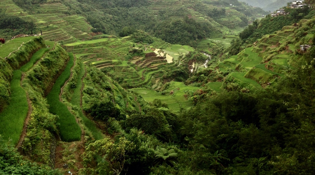 Visit Ifugao Province 2024 Travel Guide for Ifugao Province