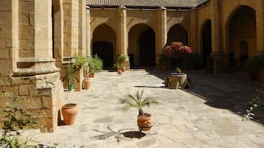 Spanish courtyard, Baeza, Spain 