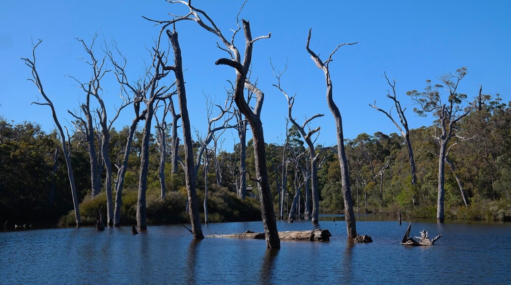 Margaret River, Western Australia, Australia