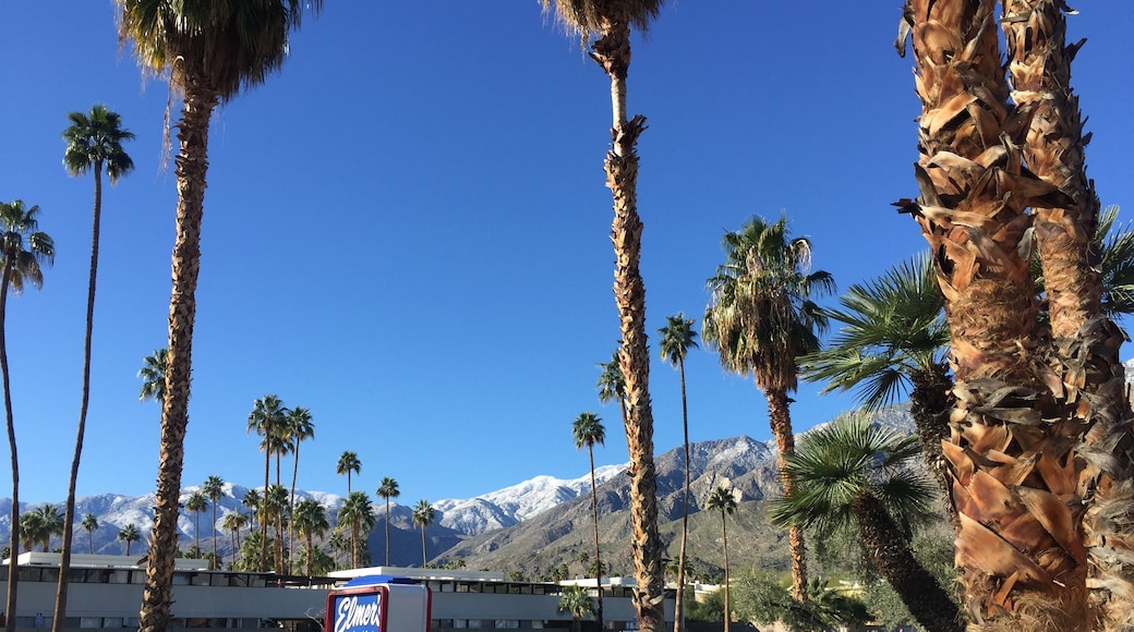 Deep Well Ranch, Palm Springs, California, United States of America