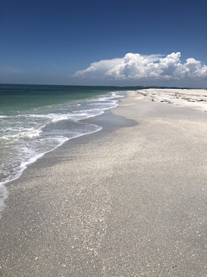 Lonely beach
