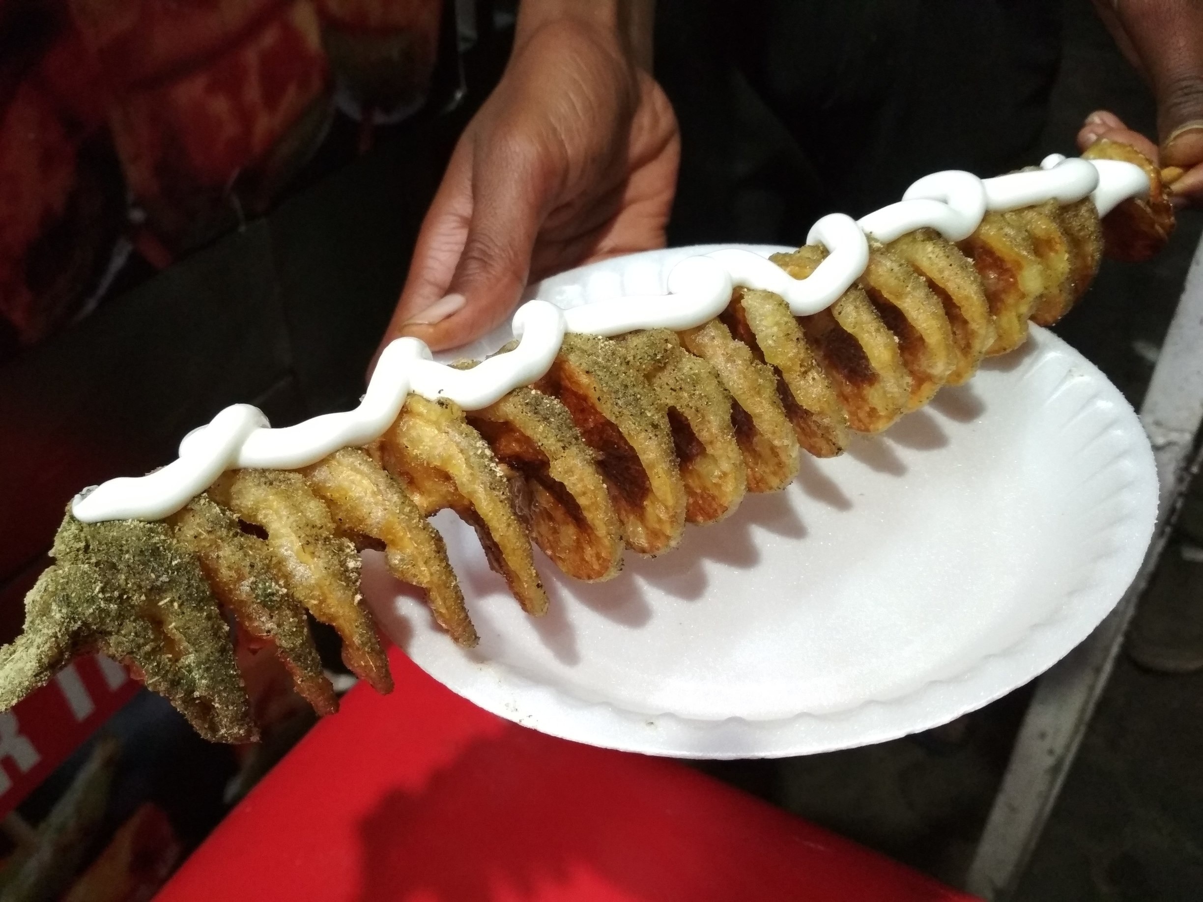 This is probably the craziest of things you could try Street side at Fateh Sagar Lake. 
It is "The Potato Twister" marked at Rs. 80.
This cafe serves what others don't so it's worth a hit..!!
#Udaipur #food #lakecity #Rajasthan #India