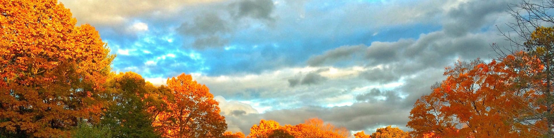 Sunset in the New England autumn. Edited photo with Snapseed to reduce the evening shadows. #GoldenHour